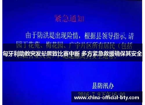 匈牙利助教突发晕厥致比赛中断 多方紧急救援确保其安全 匈牙利助教突发晕厥致比赛中断 多方紧急救援确保其安全